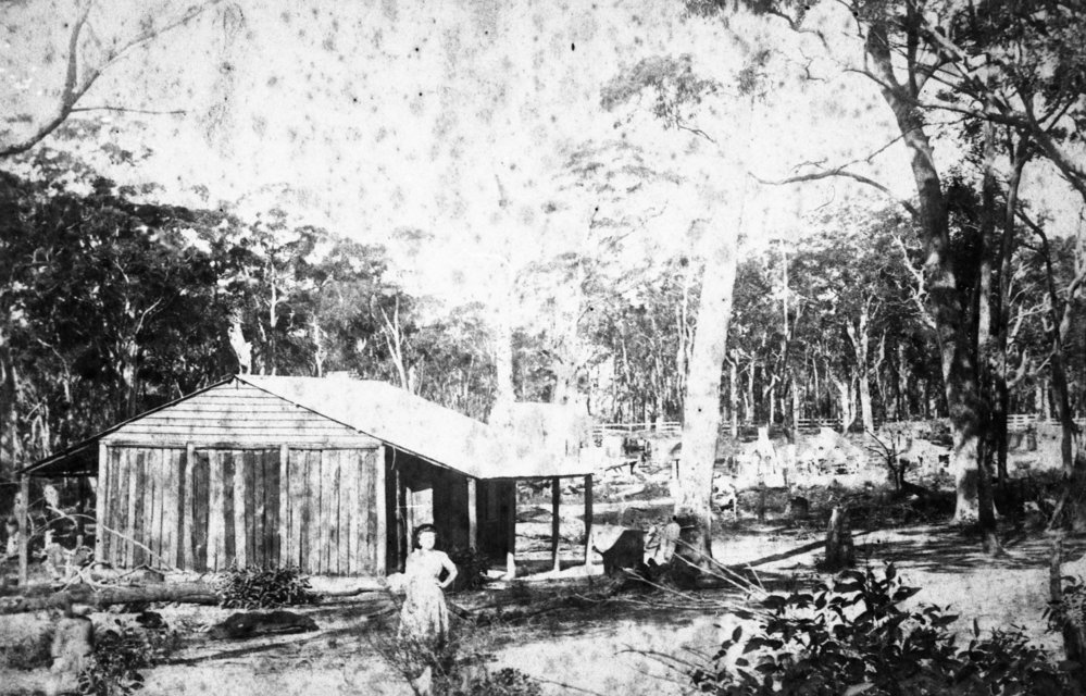 Timber cottage, Frenchs Forest, part of Hews Brickworks, c 1886