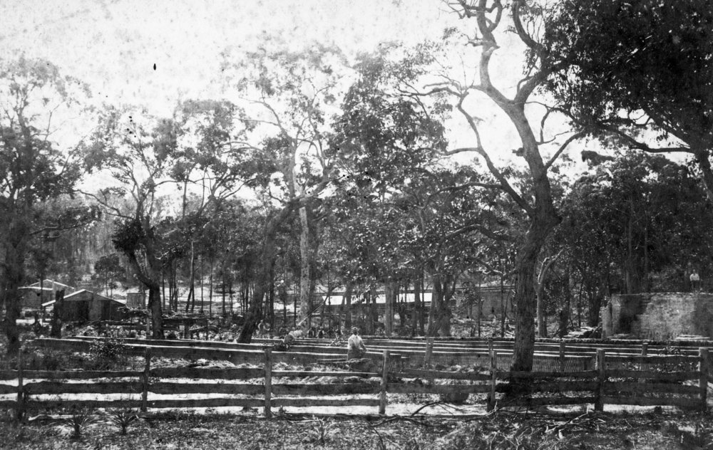 Hews brickworks, Frenchs Forest