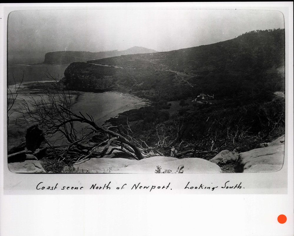 Looking South over Over  Bilgola Beach