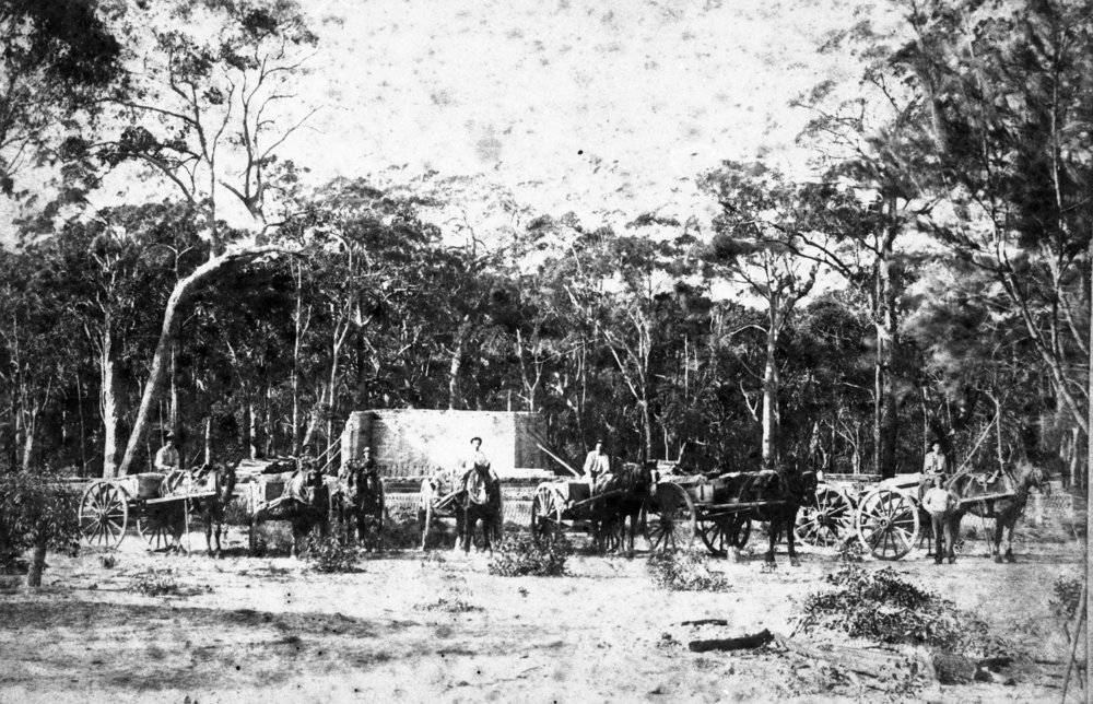 Hews brickworks, Frenchs Forest