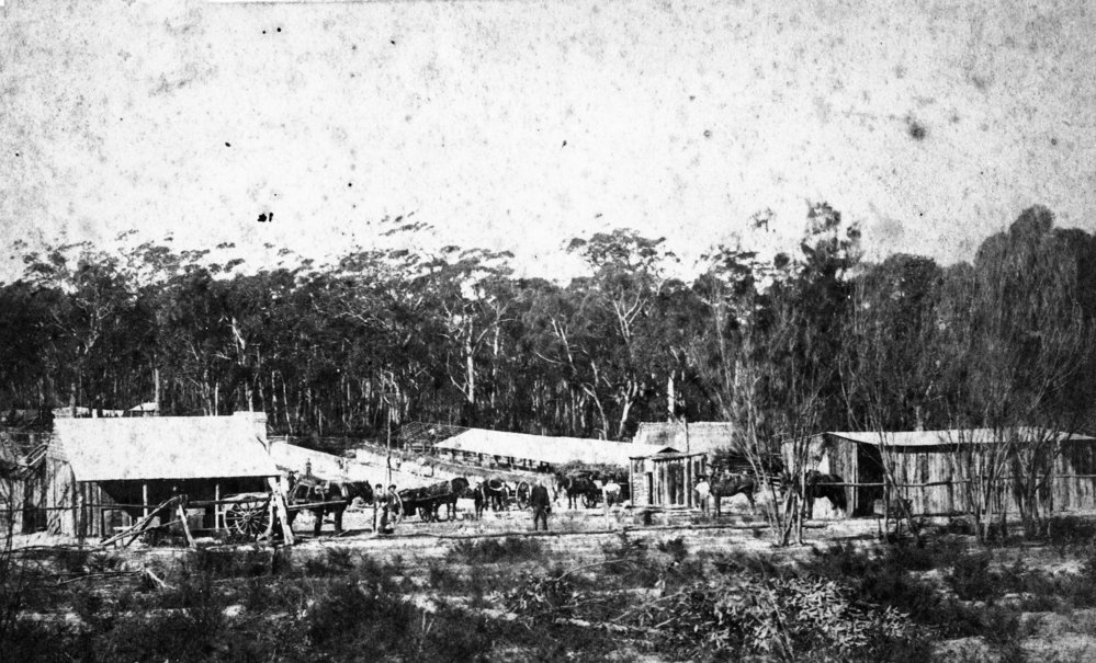 Hews brickworks, Frenchs Forest