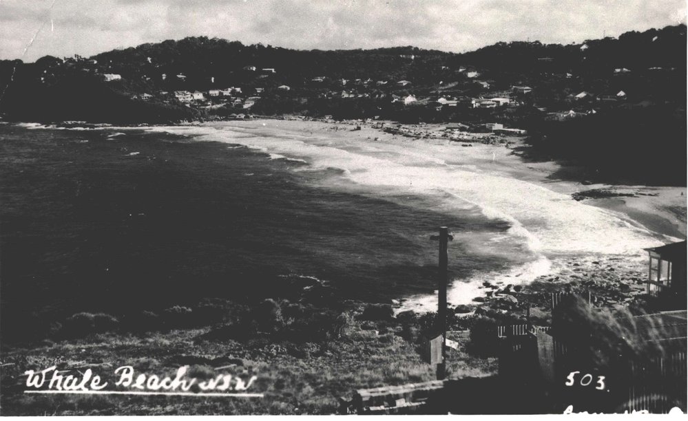 Whale Beach