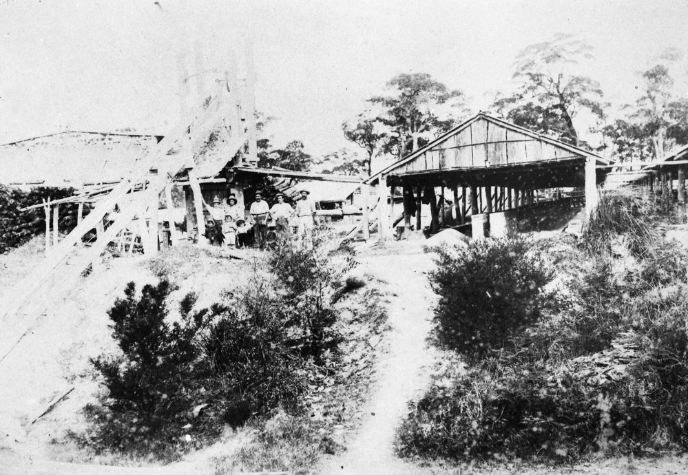 Hews brickworks, Frenchs Forest