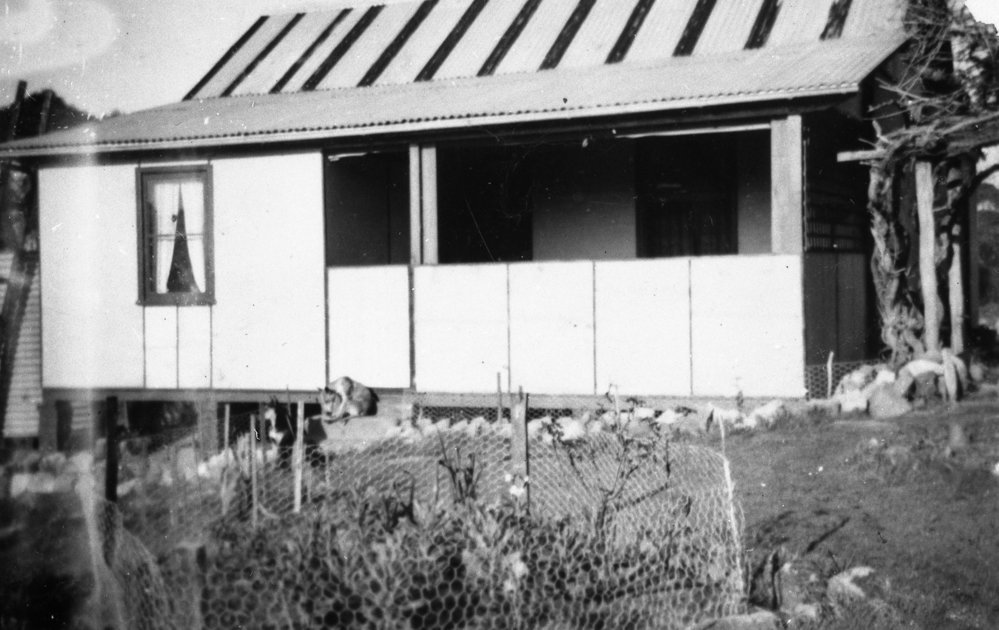 Turvey family home, 93 Pringle Ave, Belrose