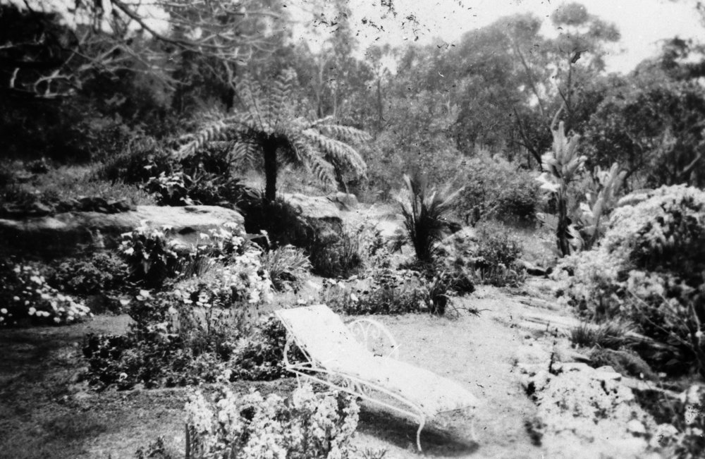 Garden of Turvey family home, Pringle Ave, Belrose