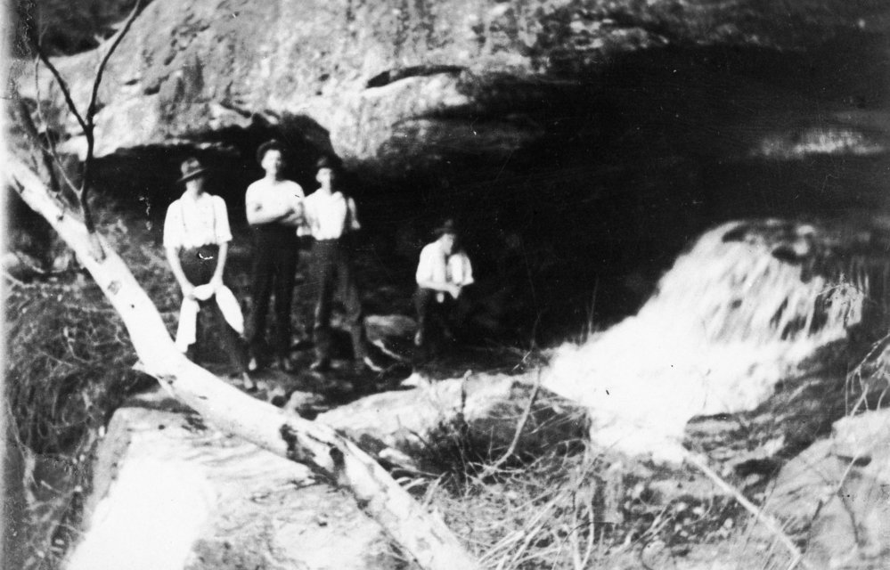 Davidson Park, Belrose