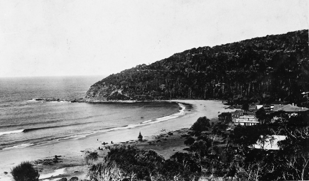 View of Palm Beach Looking South