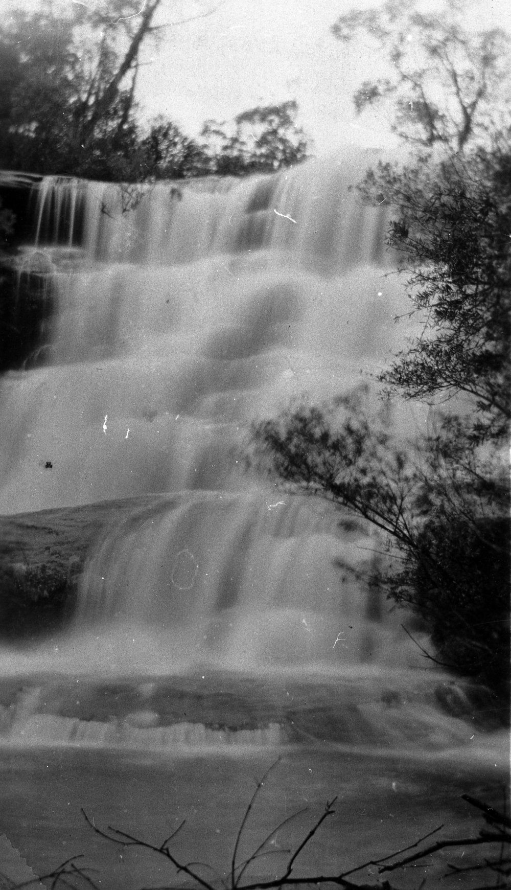 Waterfall, Davidson Park