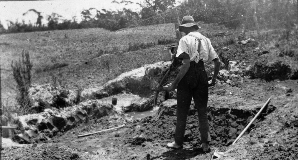 Turvey property, Belrose