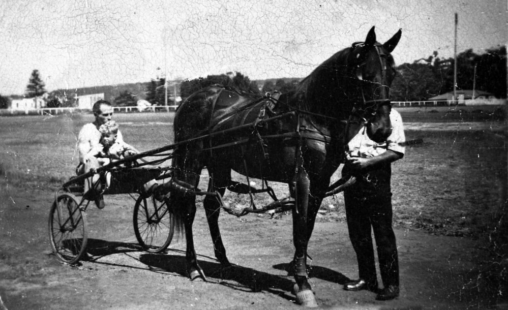 Trotting at Brookvale Oval