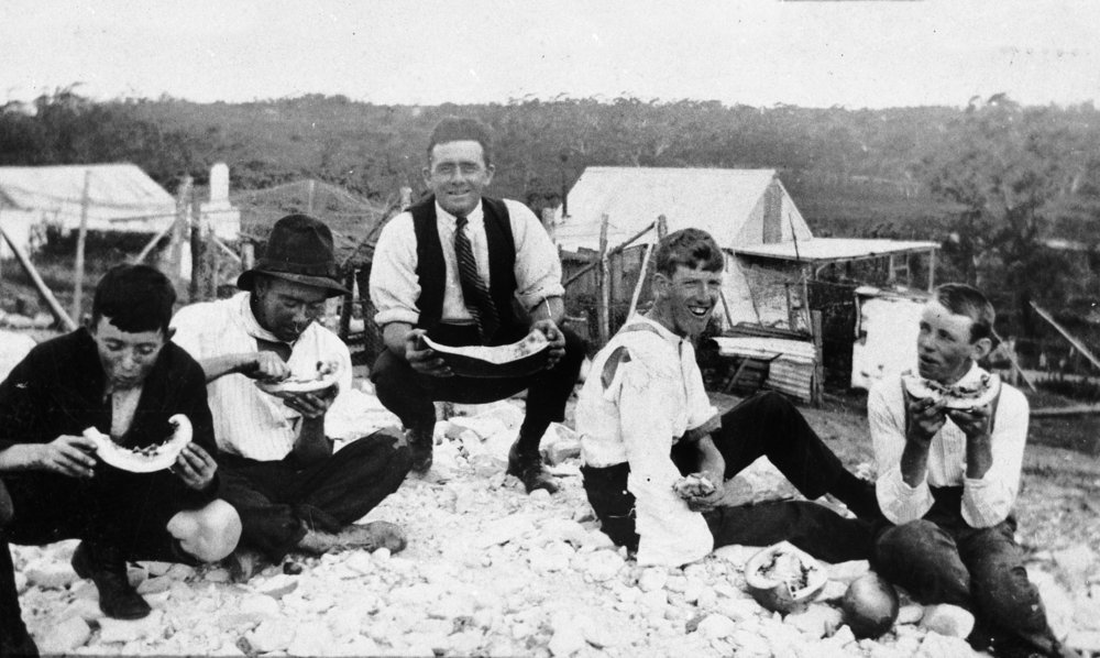 Turvey property, Belrose, c 1925