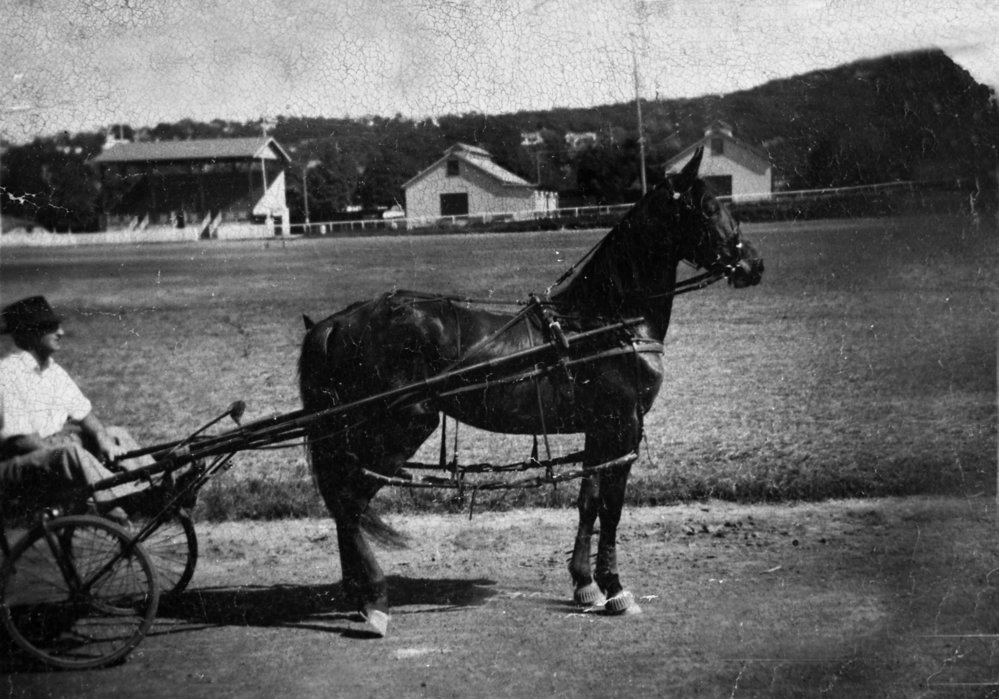 Trotting at Brookvale Oval, c 1942