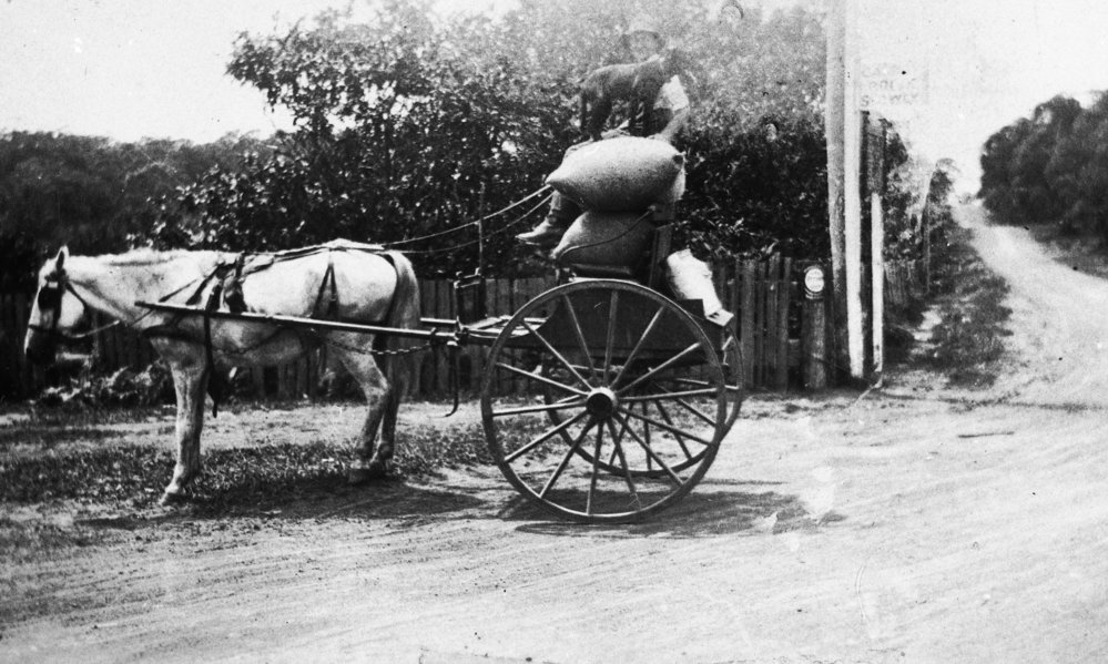 Bill Smith, milkman, Forest Way Belrose