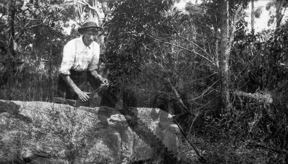 Turvey family timber cutting in Duffys Forest