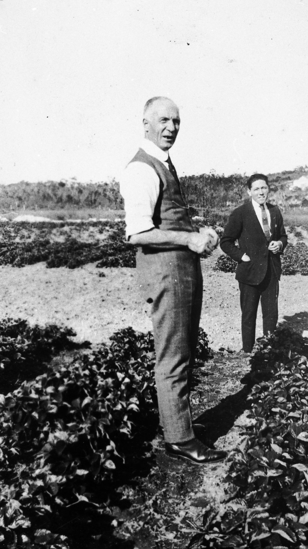 Bertram Penze at strawberry farm, Belrose