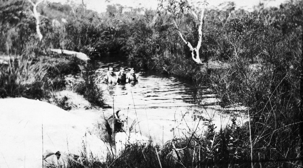 Waterhole below Elm Ave, Belrose