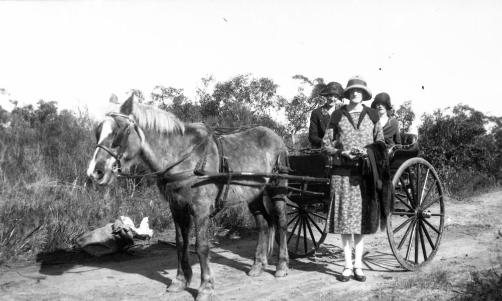 Bonnie Turvey (later Penze), Belrose
