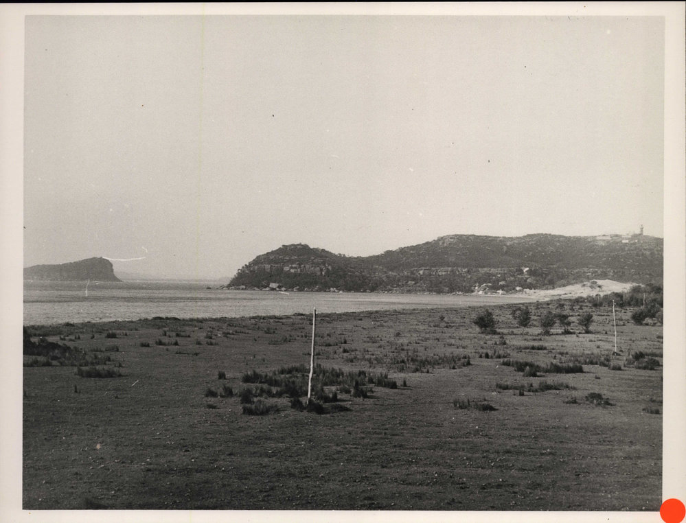 Barrenjoey Beach and Lion Island, Palm Beach