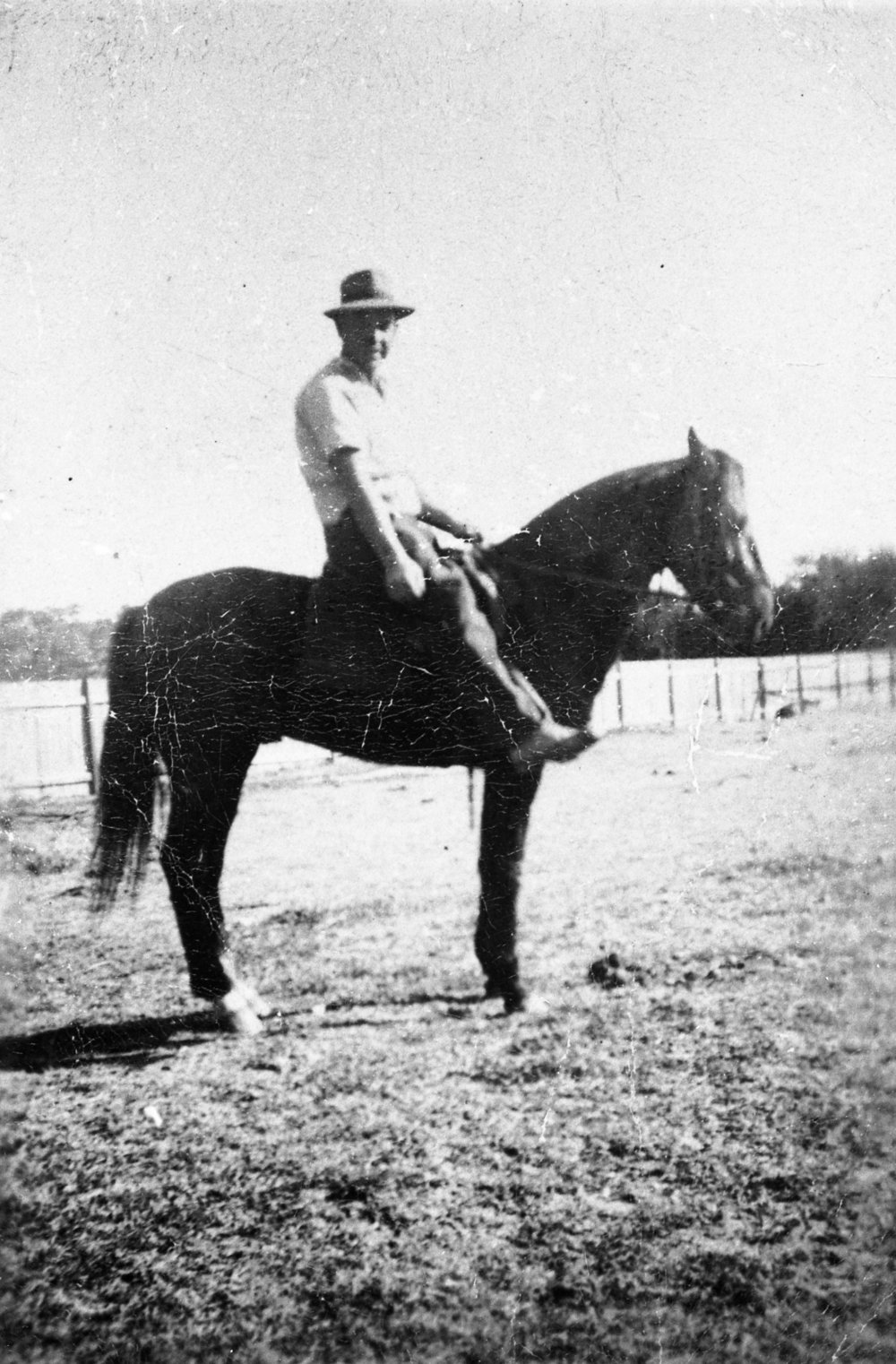 Harry Brodie on a horse in backyard of family home, 1339 Pittwater Road Narrabeen