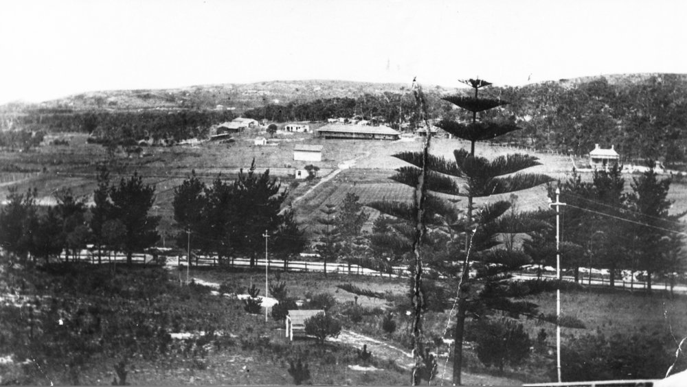 Overlooking the Salvation Army's Dee Why Industrial Farm from present site of Dee Why Library