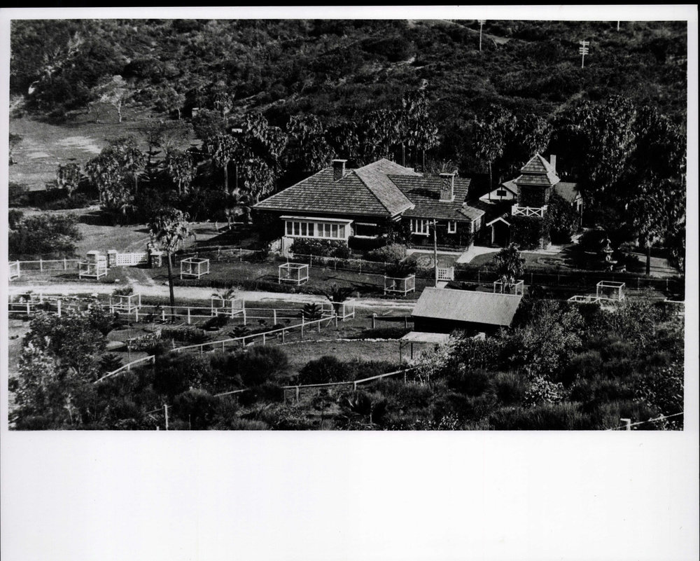 Bilgola House, Bilgola Beach