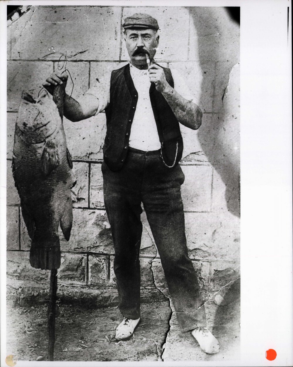 Amos Randell with fish caught off Curl Curl