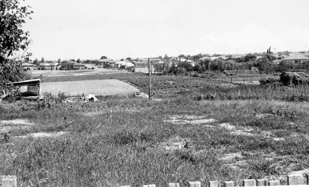 Market garden, Newport c 1960