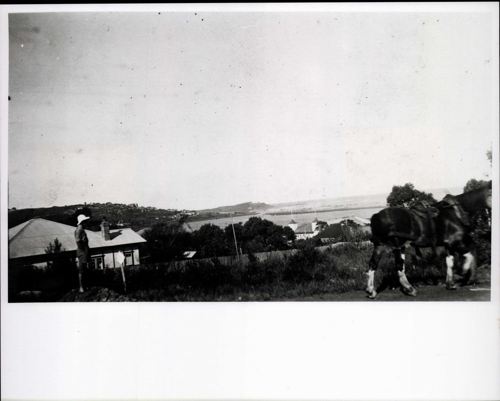 View of Dee Why Lagoon taken from the top of Kingsway