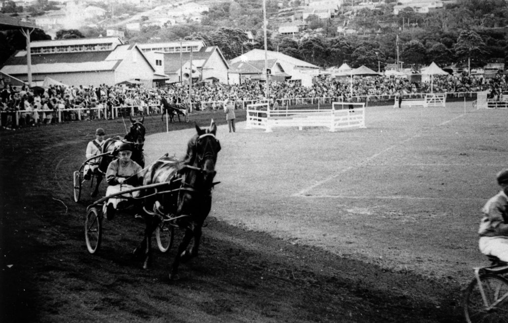 Trotting at the Brookvale Show