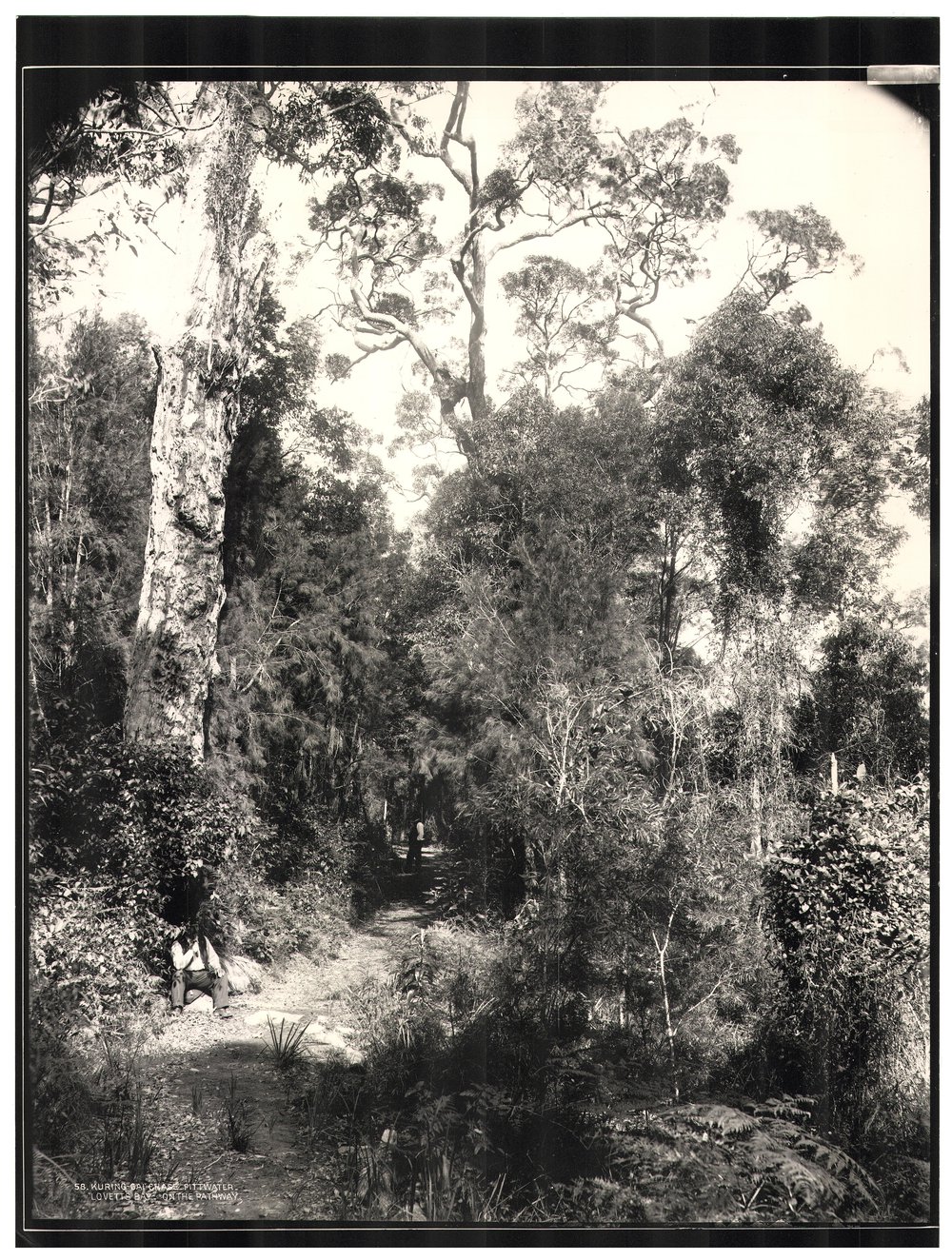 Lovett Bay