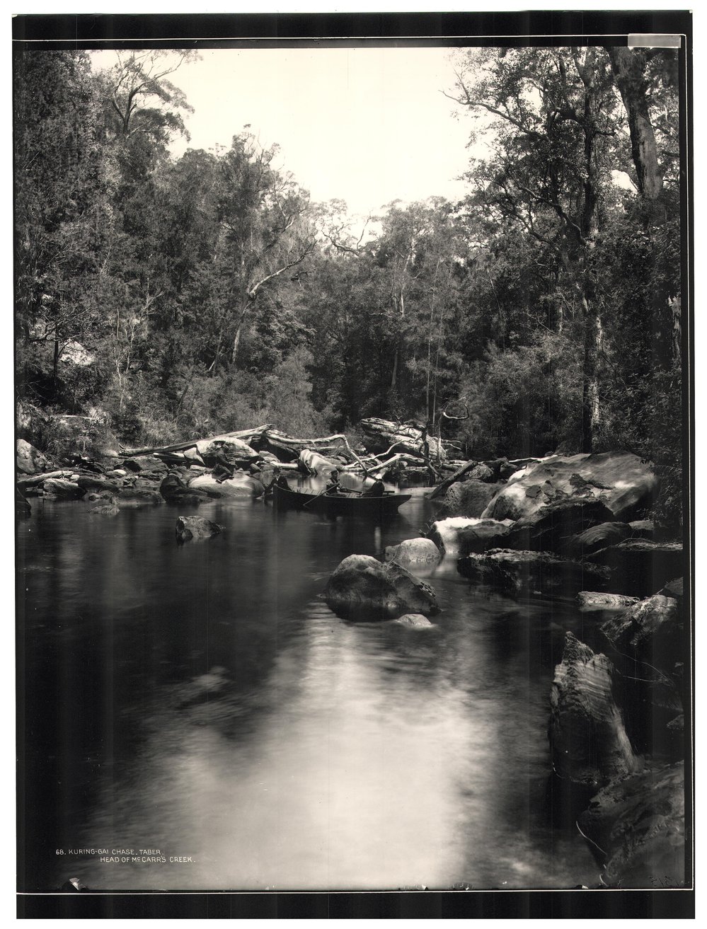 McCarrs Creek, 1899