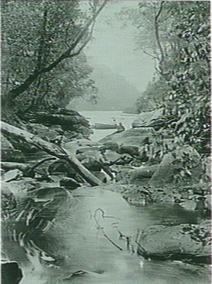 View of Lovett Creek, Pittwater