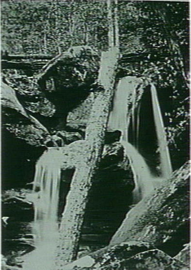 Kuringai Falls, Pittwater