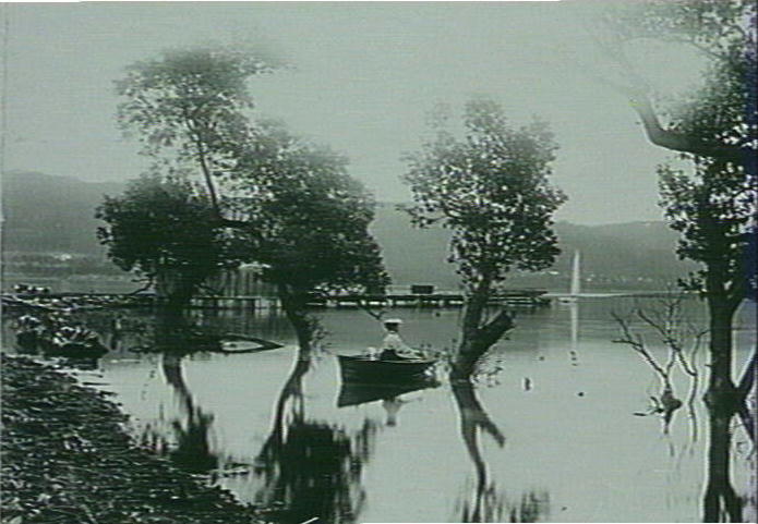 Boating at Newport, Pittwater