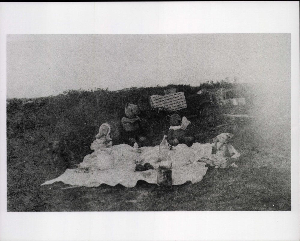 Teddy bear's picnic, Curl Curl