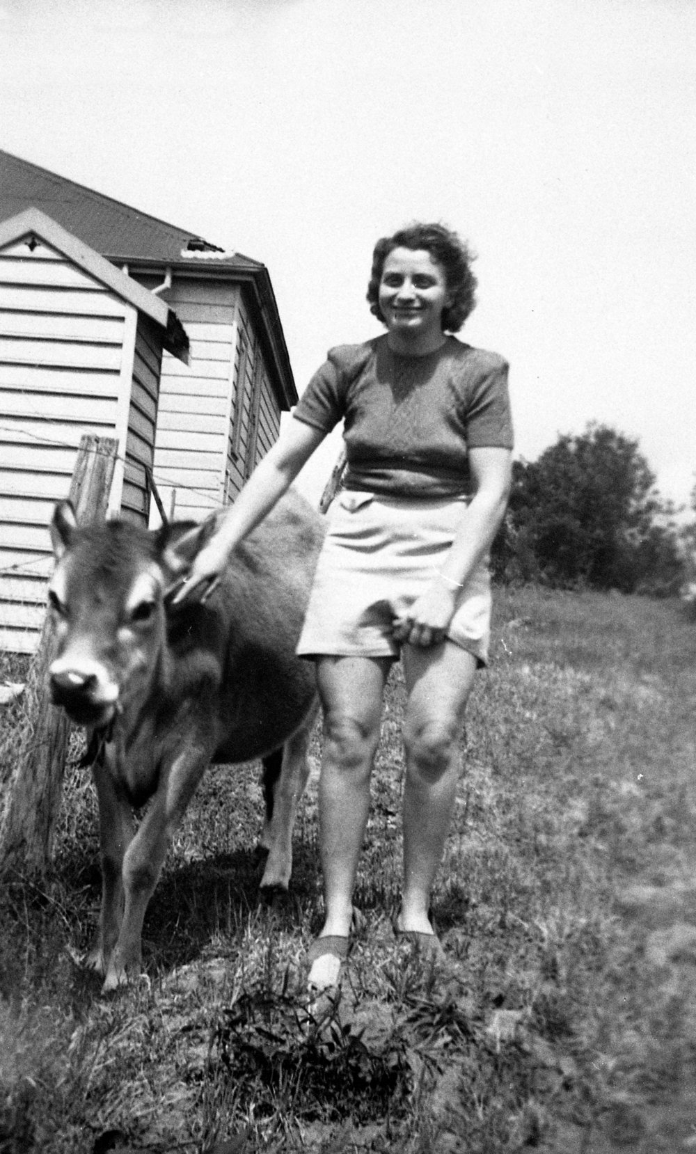 Beryl Gray (nee Cornish) with cow outside her home, Beacon Hill