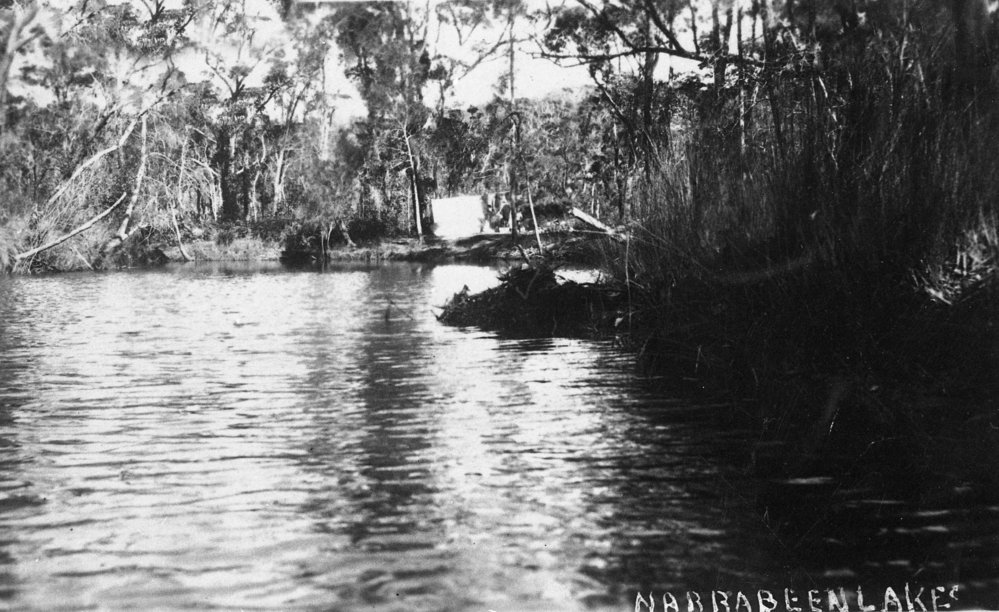 Camping at Narrabeen Lagoon