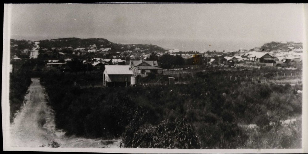 Wyndora Avenue, Harbord