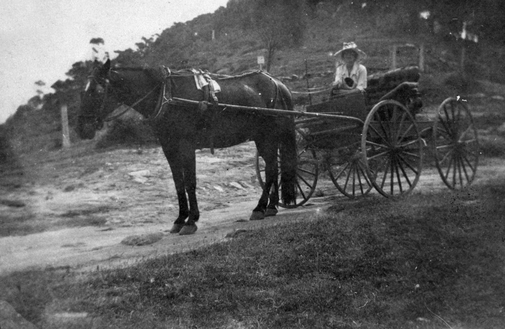 Elsie Pollock with horse and carriage, Newport