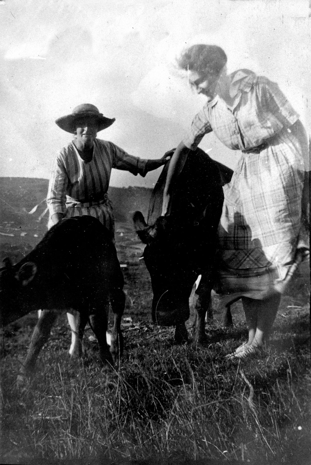 Betty Pollock with cows, Newport