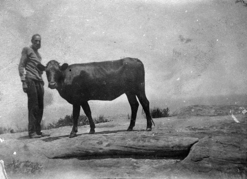 Stan Yewen and Anna (the cow), Newport
