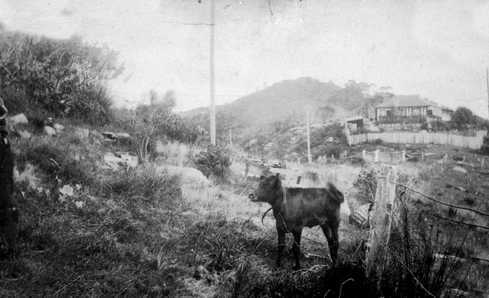 House belonging to the Fitzackerly family, Newport