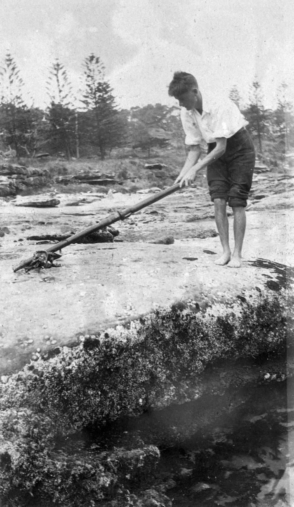 Stanley Yewen kills an octopus, Newport