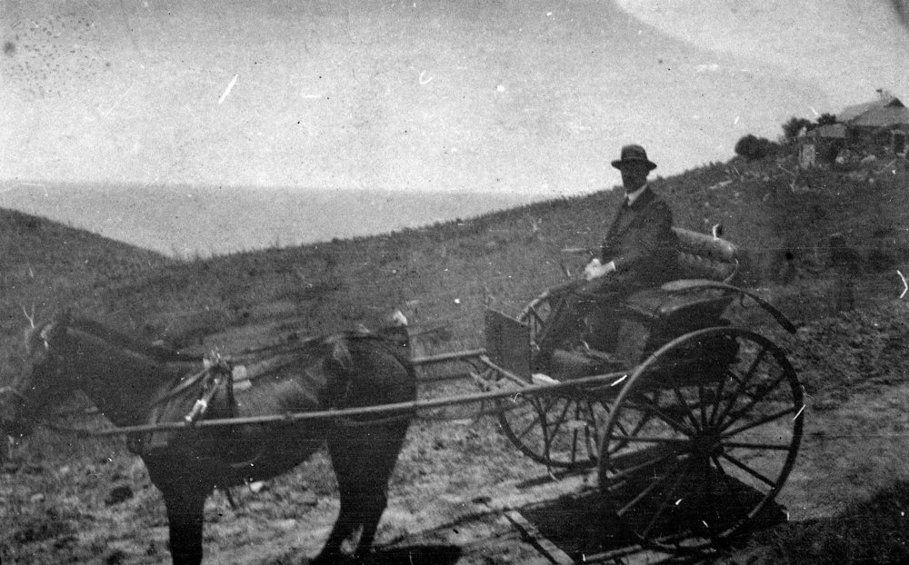 Horse drawn vehicle, Newport