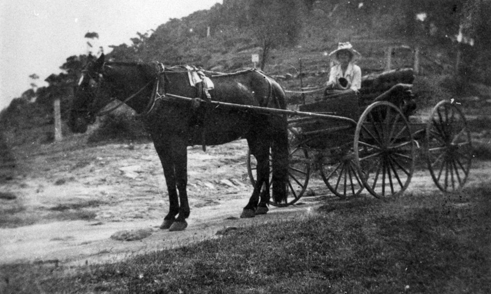Horse drawn vehicle, Newport