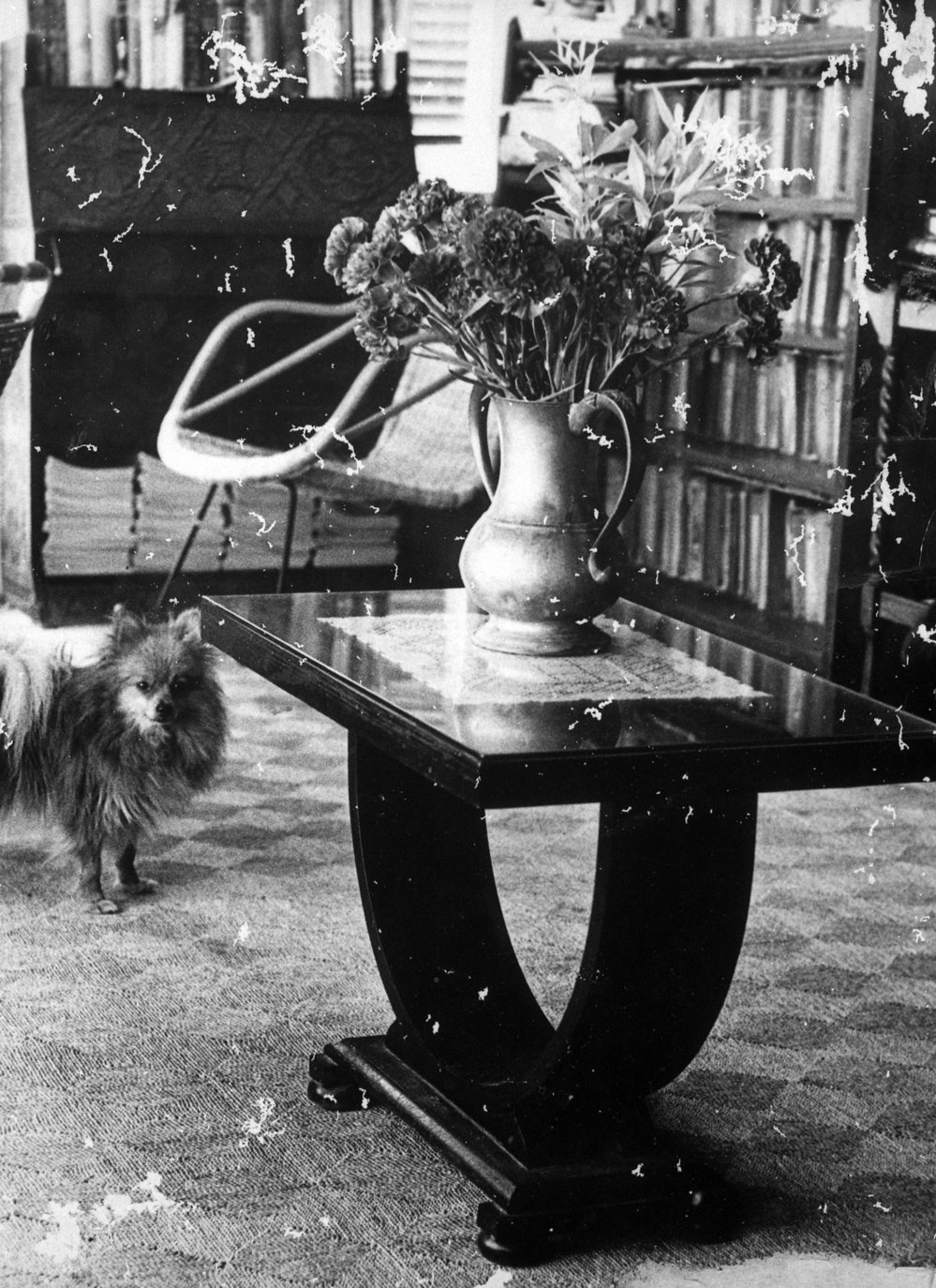 The Interior of Yewen family home Bungania, Newport