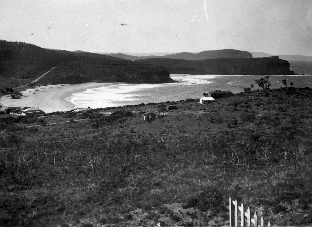 View of Bungan Beach from Bungania, Newport