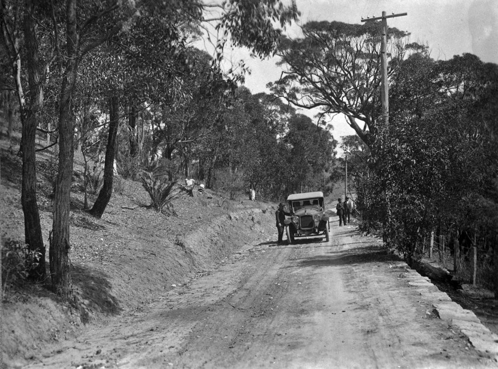 Car on Bungan Head Road, Newport