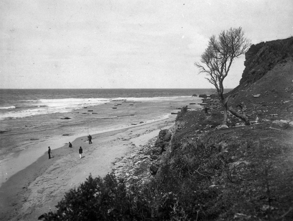 Bungan Beach