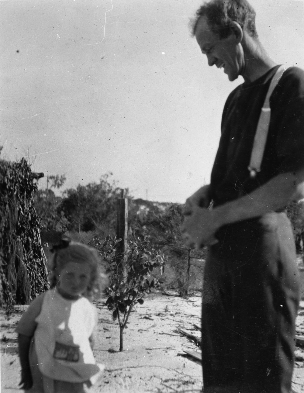 Sunnydale Nursery Fisher Road, Dee Why